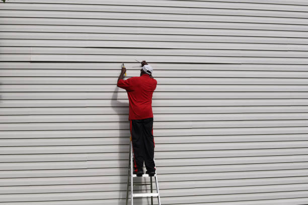 Best Siding Painting and Refinishing  in Dade City, FL